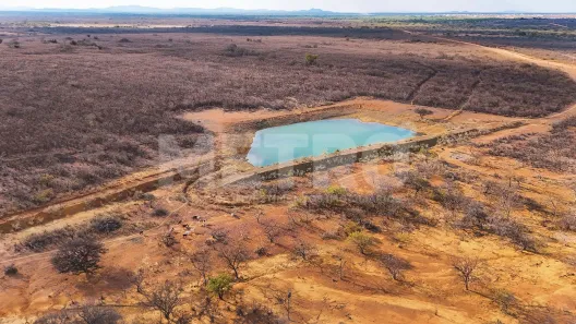 Fazenda/Sítio à venda, 6000000m² no , Curaçá