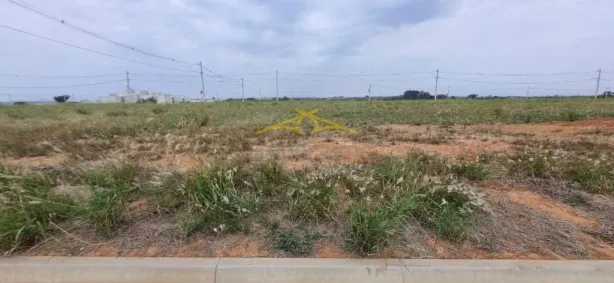 Lote/Terreno à venda, 303m² no Terras de Cillo, Santa Bárbara D'Oeste