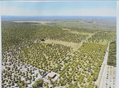 Lote/Terreno à venda, 700000m² no Sucatinga, Beberibe