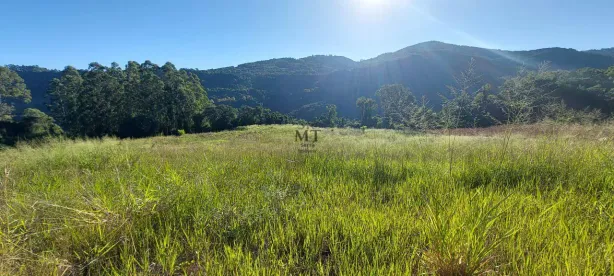Lote/Terreno à venda, 140000m² no , Picada Café