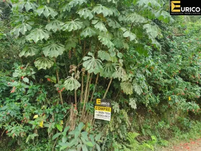 Lote/Terreno à venda, 13000m² no Parque Valinhos, Valinhos