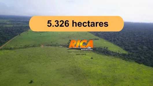 Fazenda/Sítio à venda, 53260000m² no , Manicoré