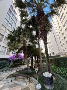 Apartamento com 3 Quartos à venda, 93m² no Vila Mariana, São Paulo