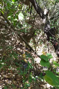 Lote/Terreno à venda, 20000m² no , Jaboticatubas