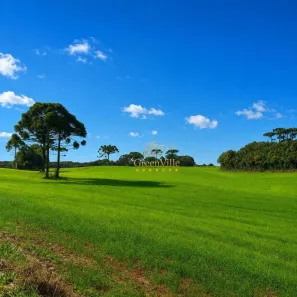 Fazenda/Sítio com 1 Quarto à venda, 123500m² no Thomaz Coelho, Araucária