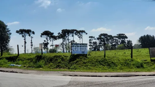 Lote/Terreno para alugar, 20000m² no Rio Pequeno, São José dos Pinhais