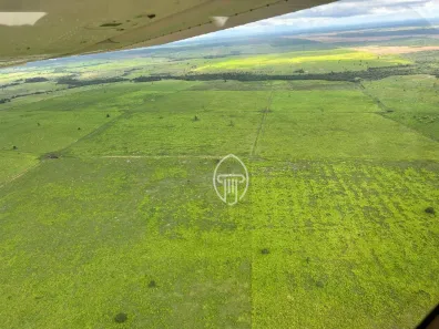 Fazenda/Sítio à venda, 71160000m² no Jaderlândia, Castanhal