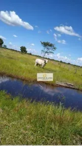 Fazenda/Sítio à venda, 900m² no , Cocalinho