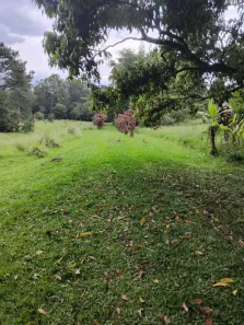 Lote/Terreno à venda, 200000m² no Jardim Torino, Cotia