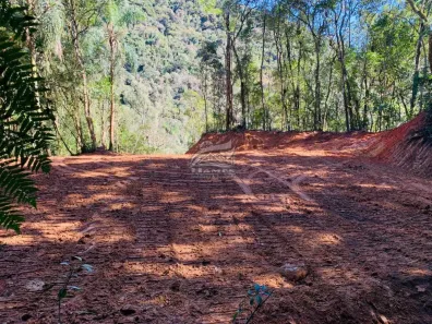 Lote/Terreno à venda, 20000m² no , Angelina