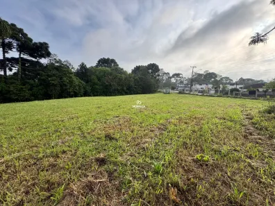 Fazenda/Sítio à venda, 36000m² no Campo Largo da Roseira, São José dos Pinhais