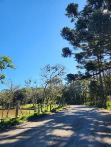 Lote/Terreno à venda, 10000m² no Saltinho, Campo Alegre