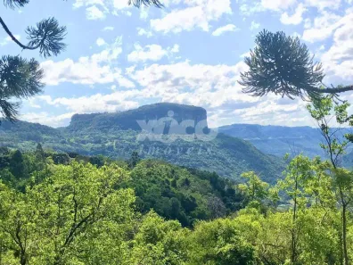 Lote/Terreno à venda, 5000m² no Dos Boêmios, Nova Petrópolis
