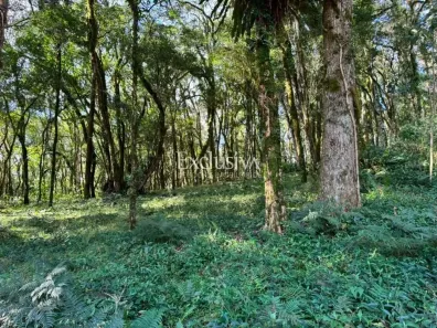 Lote/Terreno à venda, 603m² no Caracol, Canela