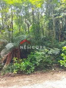 Lote/Terreno à venda, 780m² no Centro, São Francisco de Paula