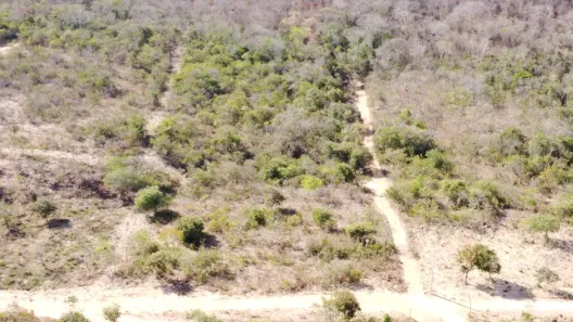 Lote/Terreno à venda, 20000m² no Setor de Habitações Individuais Sul, Brasília