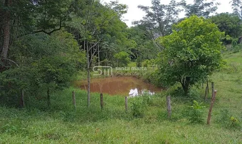 Fazenda/Sítio com 4 Quartos à venda, 145000m² no Vila Geny, Lorena