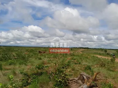 Fazenda/Sítio à venda, 500m² no , Paranã