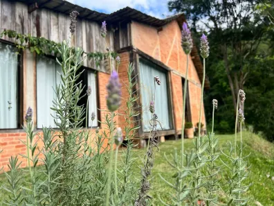 Fazenda/Sítio com 2 Quartos à venda, 25000m² no , Domingos Martins