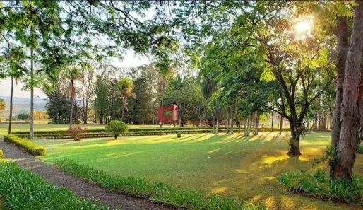 Lote/Terreno à venda, 250m² no Colinas do Castelo, Jaguariúna
