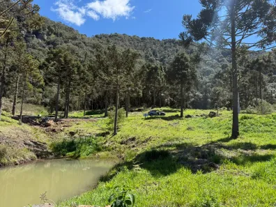 Fazenda/Sítio à venda, 20000m² no Urubici, Urubici