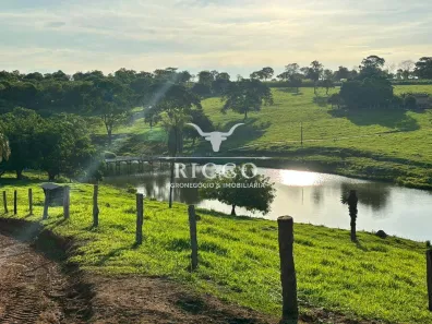 Fazenda/Sítio com 5 Quartos à venda, 53m² no Setor Central, Senador Canedo