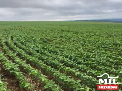 Fazenda/Sítio à venda, 500m² no Área Rural de Jataí, Jataí