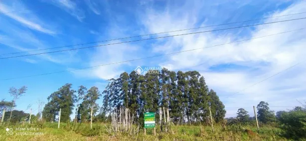 Fazenda/Sítio à venda, 3600m² no Costão, Estrela