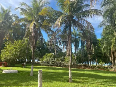 Fazenda/Sítio com 3 Quartos à venda, 200m² no Andorinhas, Tupaciguara