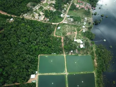 Fazenda/Sítio à venda, 246000m² no Vila Lindóia, Itacoatiara