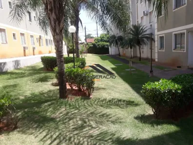 Apartamento com 2 Quartos à venda, 47m² no Parque das Flores II, São José do Rio Preto