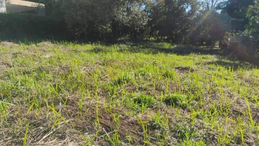 Lote/Terreno à venda, 1000m² no Jardim São Bento do Recreio, Valinhos
