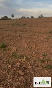 Lote/Terreno à venda, 84700m² no Bairro dos Lopes, Limeira