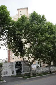 Apartamento com 4 Quartos à venda, 165m² no Ahú, Curitiba
