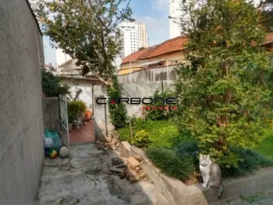 Casa com 3 Quartos à venda, 150m² no Vila Regente Feijó, São Paulo