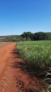 Fazenda/Sítio à venda, 556600m² no Santo Antônio da Alegria, Santo Antônio da Alegria