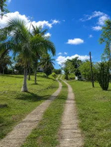 Fazenda/Sítio com 3 Quartos à venda, 117000m² no Posse dos Coutinho, Tanguá