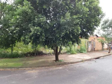 Lote/Terreno à venda, 295m² no Jardim Roberto Selmi Dei, Araraquara