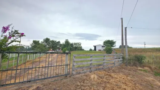 Fazenda/Sítio com 3 Quartos à venda, 63500m² no Centro, Santa Maria