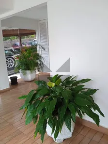 Apartamento com 2 Quartos à venda, 52m² no Jardim Umarizal, São Paulo