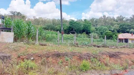 Lote/Terreno à venda, 3m² no Colônia Dona Luíza, Ponta Grossa