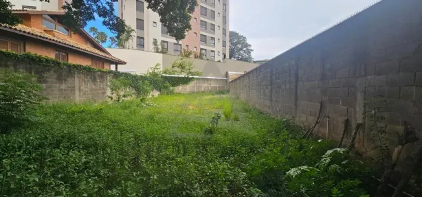 Lote/Terreno para venda ou aluguel, 560m² no Jardim das Paineiras, Campinas