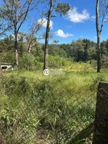 Lote/Terreno à venda, 6333m² no Lagoa do Miguelão, Nova Lima