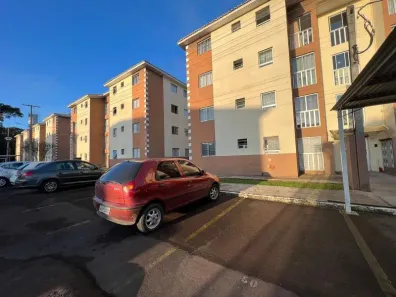 Apartamento com 1 Quarto para alugar, 42m² no Ouro Fino, São José dos Pinhais