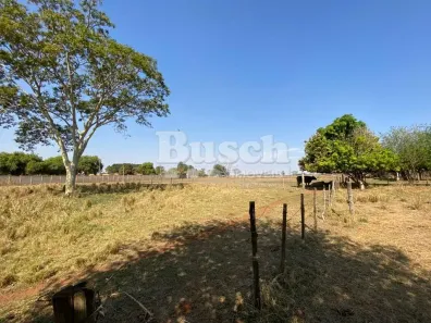 Fazenda/Sítio com 4 Quartos à venda, 24m² no Centro, Arealva