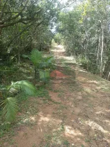 Lote/Terreno à venda, 4000m² no Ratones, Florianópolis