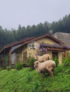 Fazenda/Sítio com 3 Quartos à venda, 210m² no Planalto, Morro Reuter