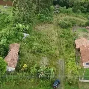 Fazenda/Sítio com 1 Quarto à venda, 2300m² no Bateias de Baixo, Campo Alegre