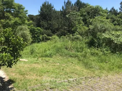 Lote/Terreno à venda no São Luiz, Caxias do Sul