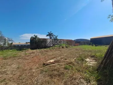 Lote/Terreno à venda, 8000m² no Distrito Industrial Waldemar de Oliveira Verdi, São José do Rio Preto